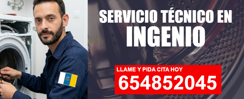 Servicio Técnico en Ingenio